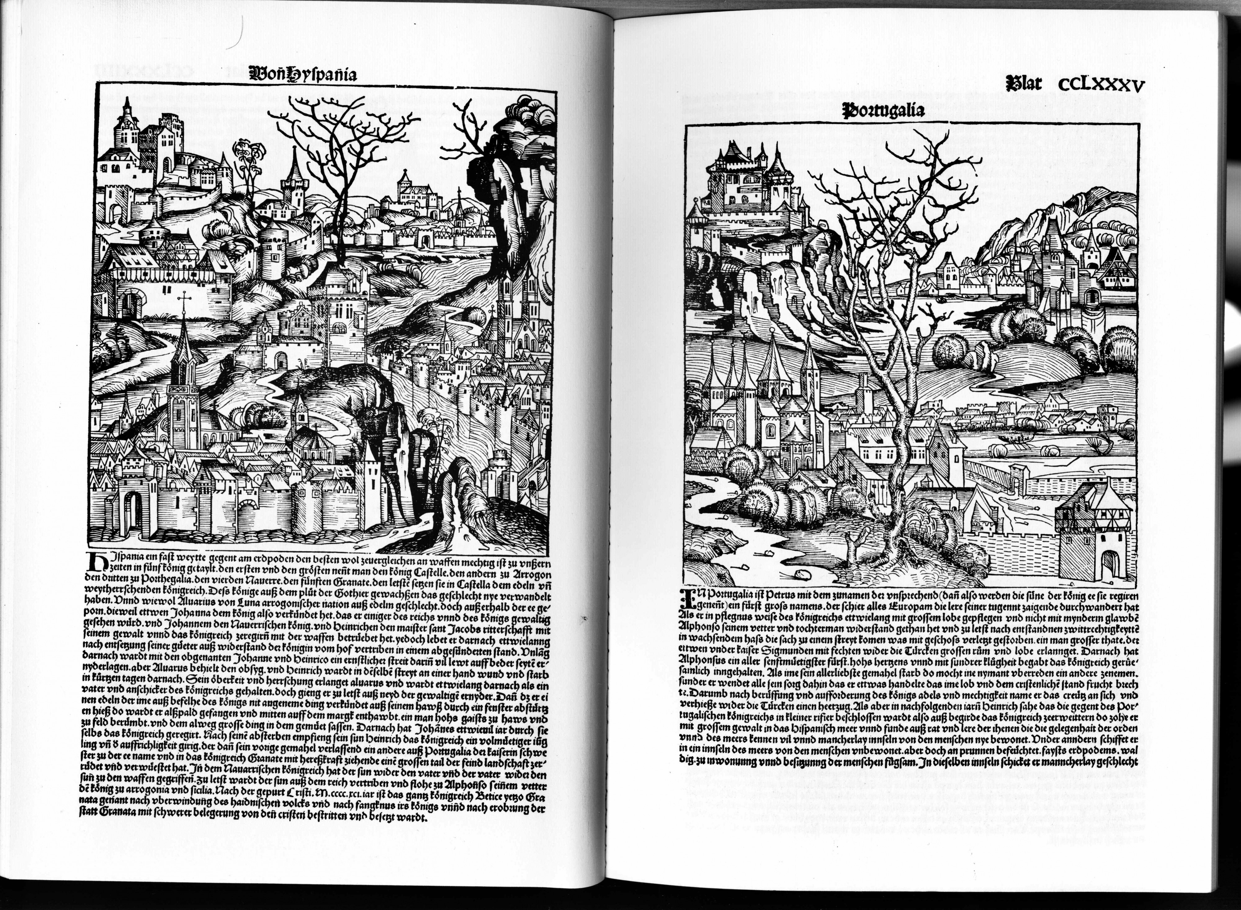Schedelsche Weltchronik d 285