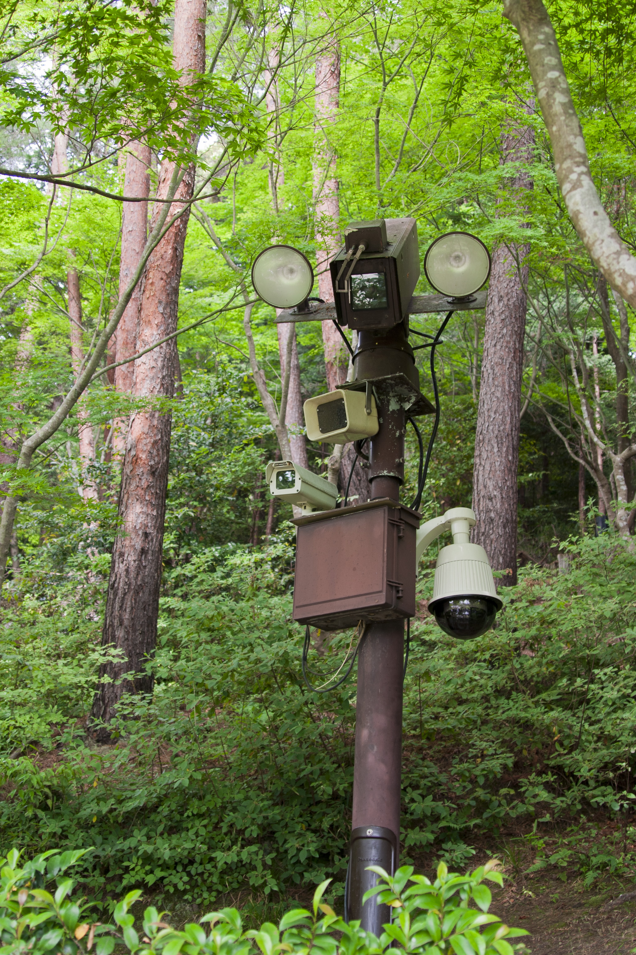 Cameras (7348810714)