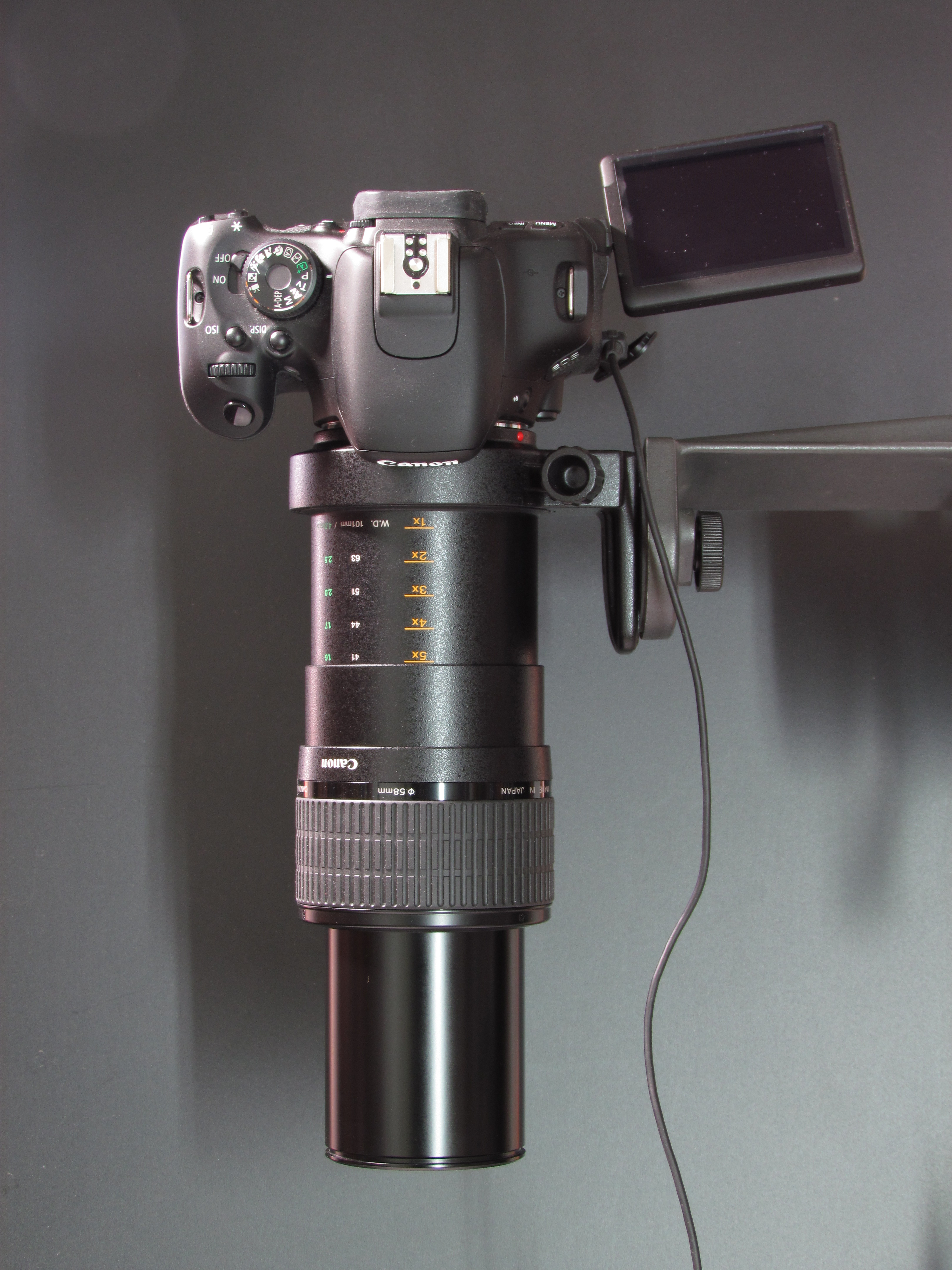 Canon Objektiv MP-E 65mm mit Kamera EOS 600D 02 (fcm)