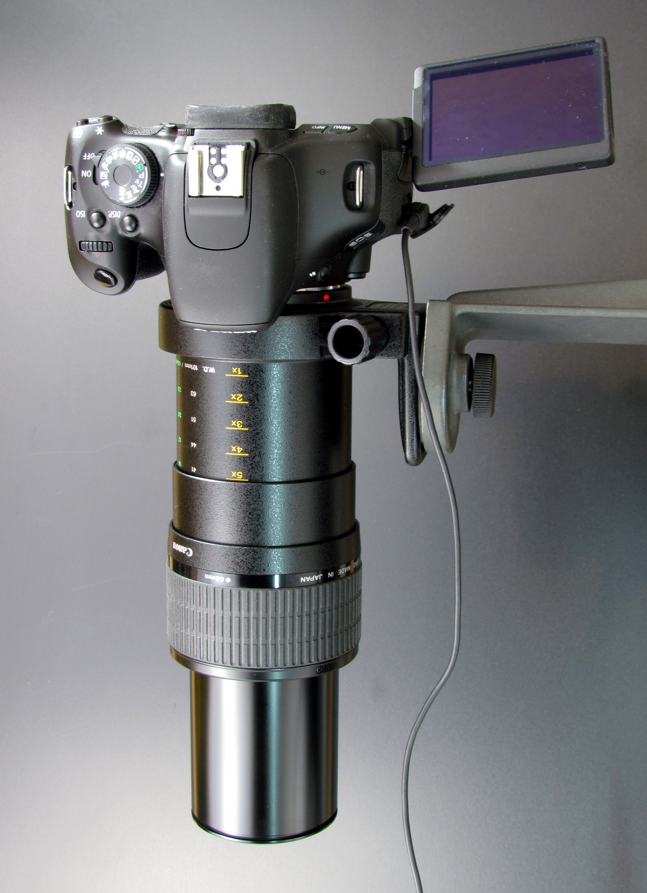 Canon Objektiv MP-E 65mm mit Kamera EOS 600D (fcm)