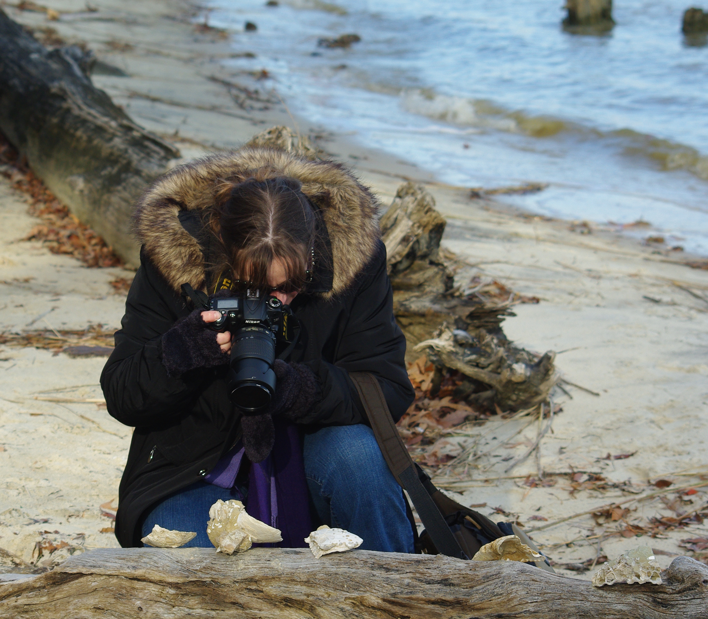 Close up focus (6516937551)