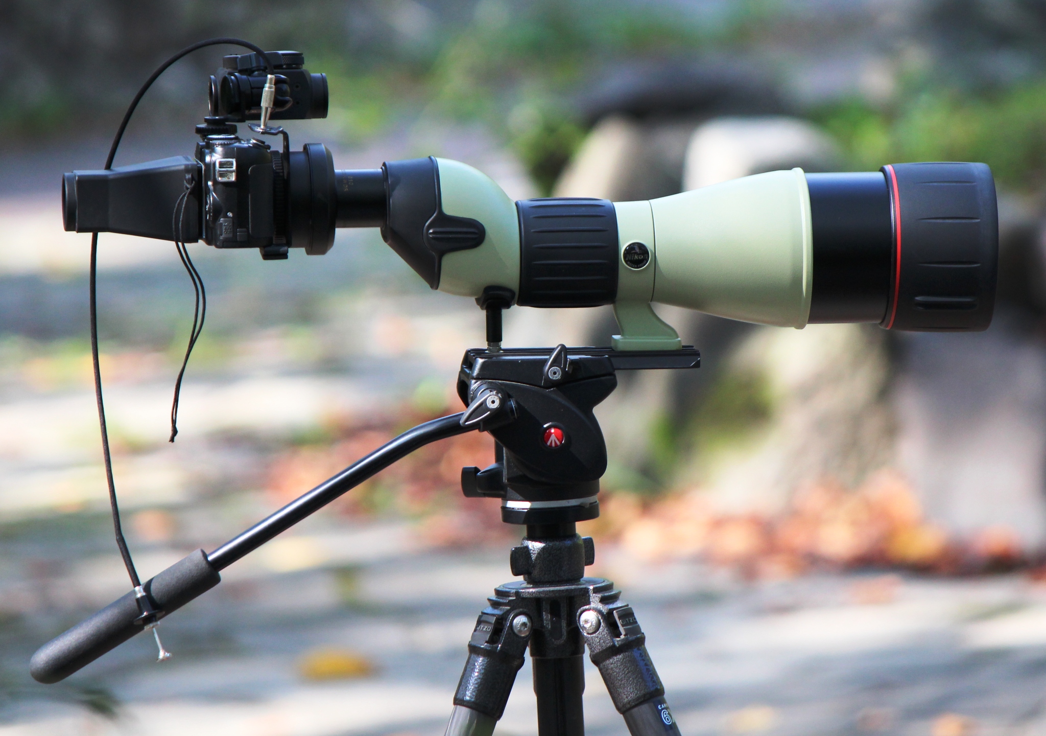 Digiscoping with Nikon ED82