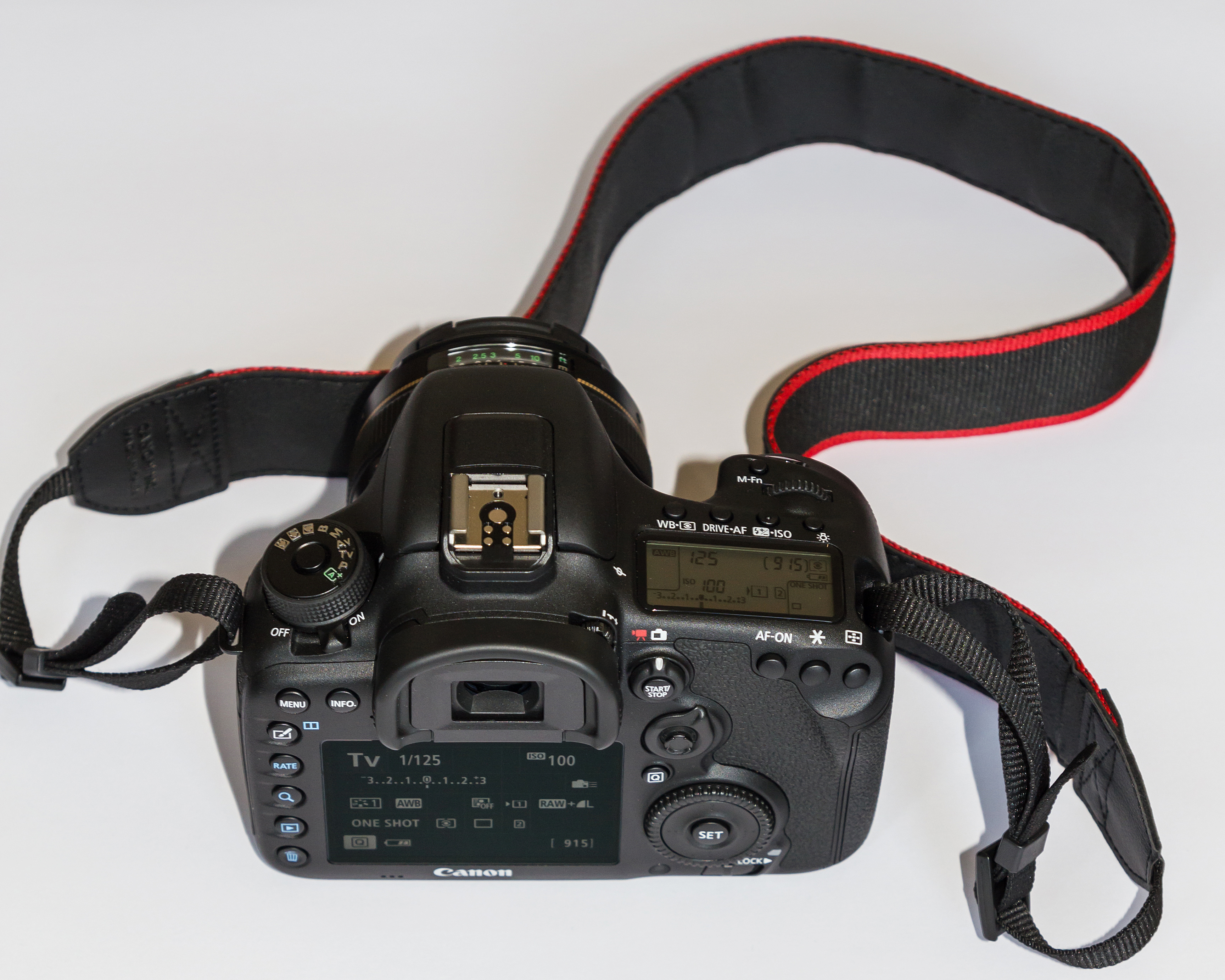 Feb2015 Canon EOS 7D Mark II img3 - back view