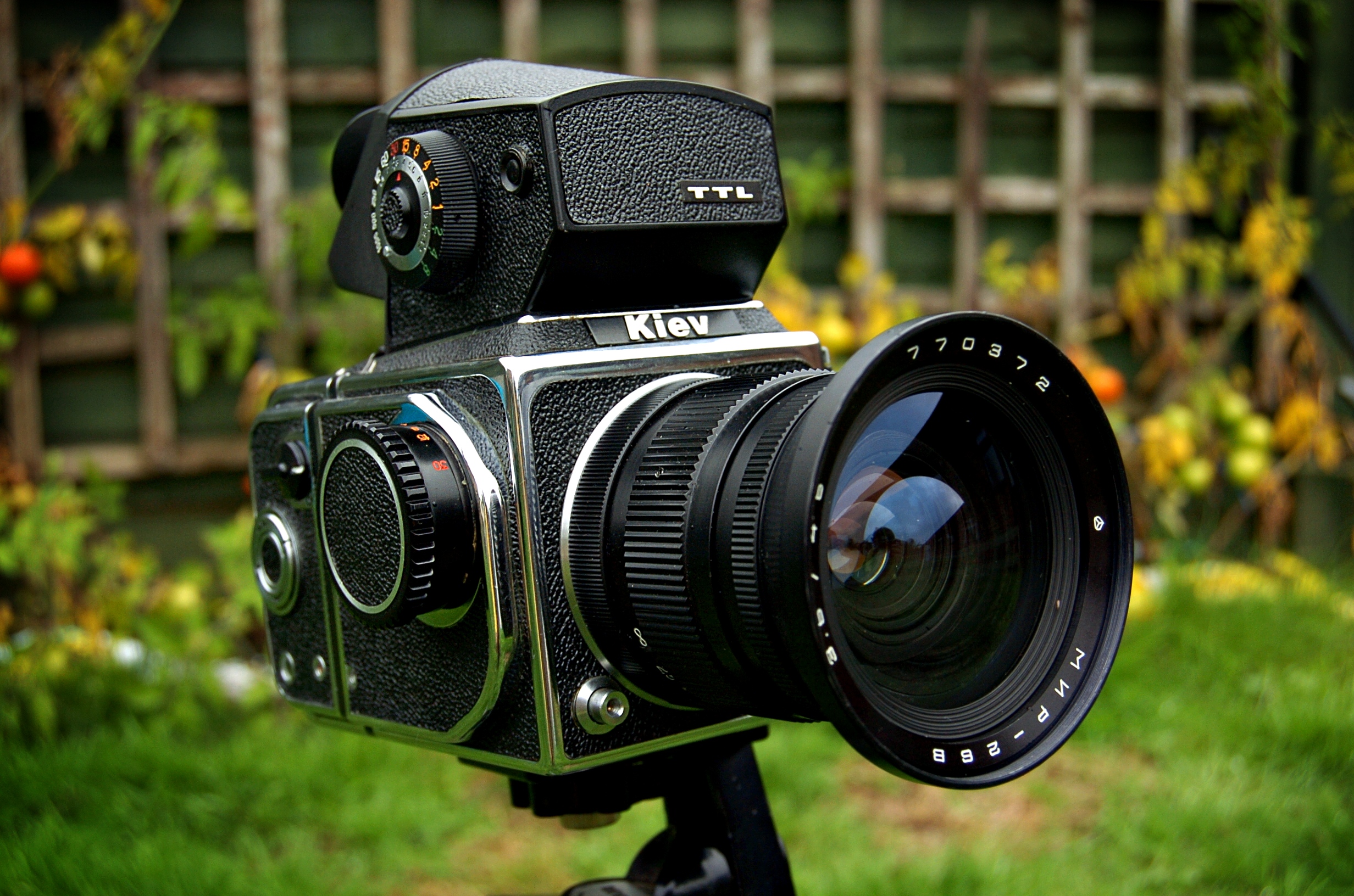 Hasselbladskii