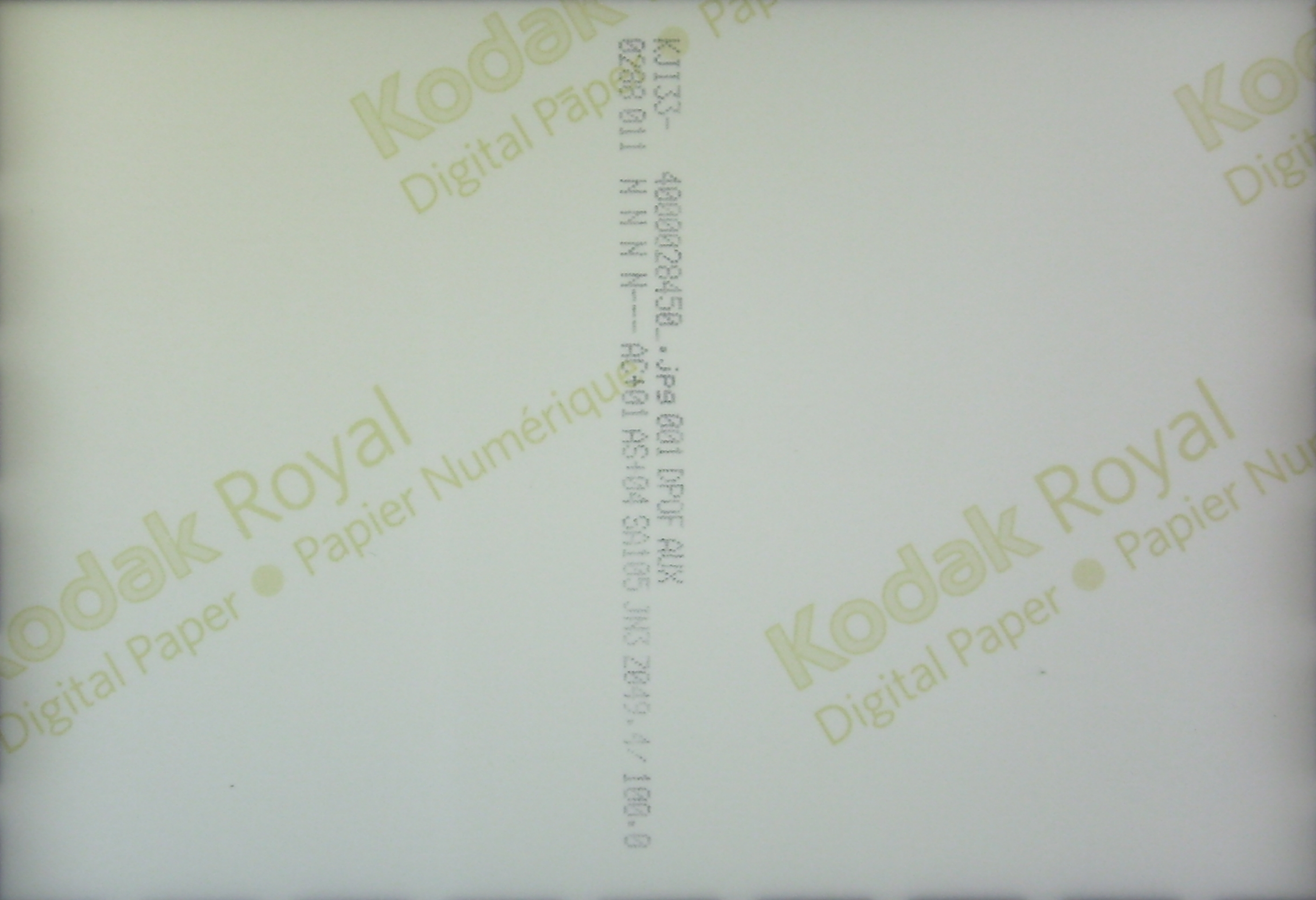 Kodak Royal Digital Paper