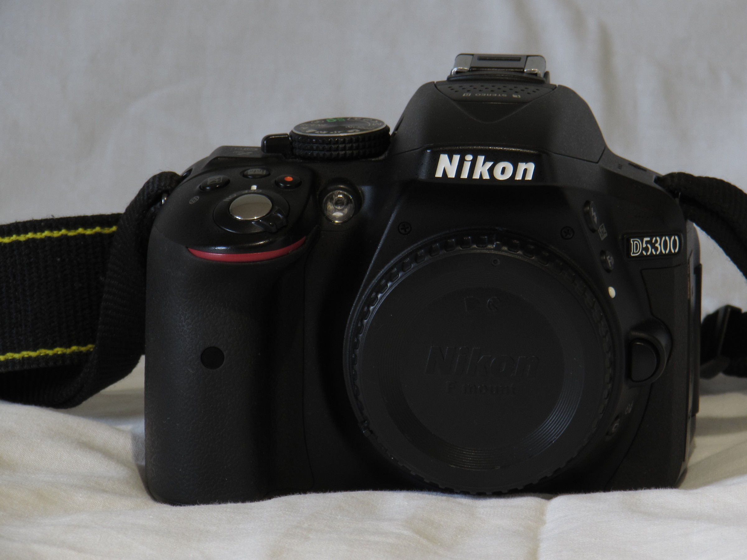 Nik d5300 front
