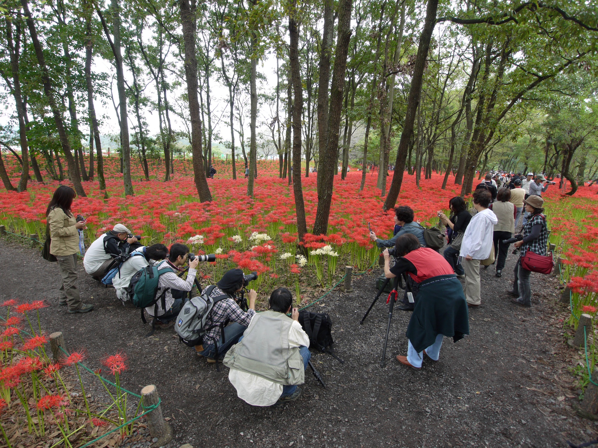 Photographers 2011 (5471189848)