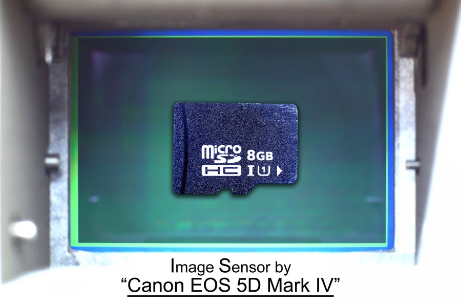 35mm FullSize-Sensor and MicroSD Card