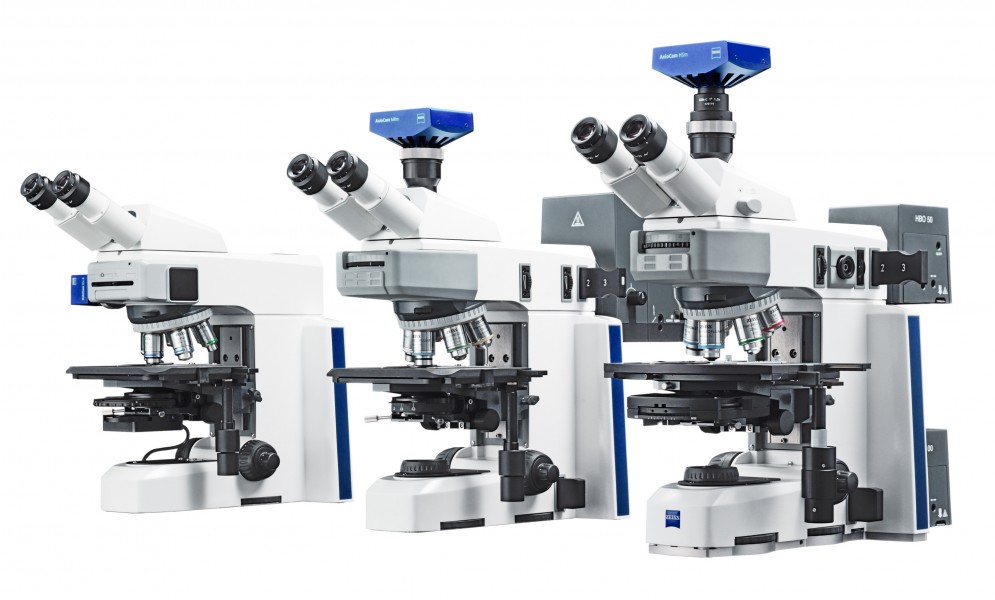 Axio Scope.A1