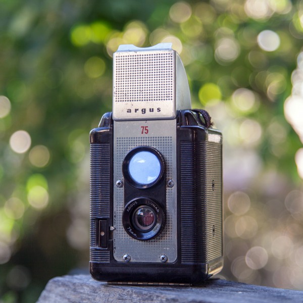 Bakelite beauty (9118944504)