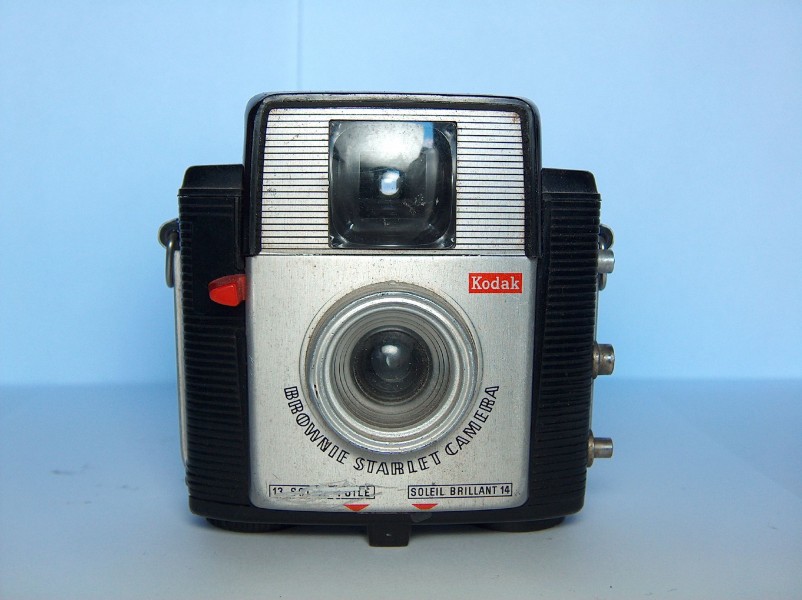 Brownie (370713227)