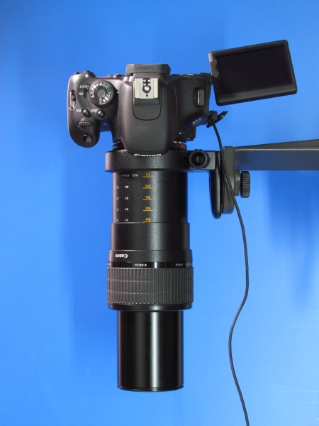 Canon Objektiv MP-E 65mm mit Kamera EOS 600D 05 (fcm)