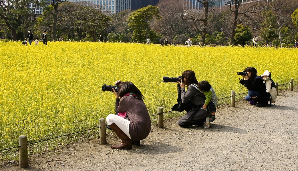 Japanese moms with their camera gear at Hamarikyu gardens, Tokyo (8570416286)