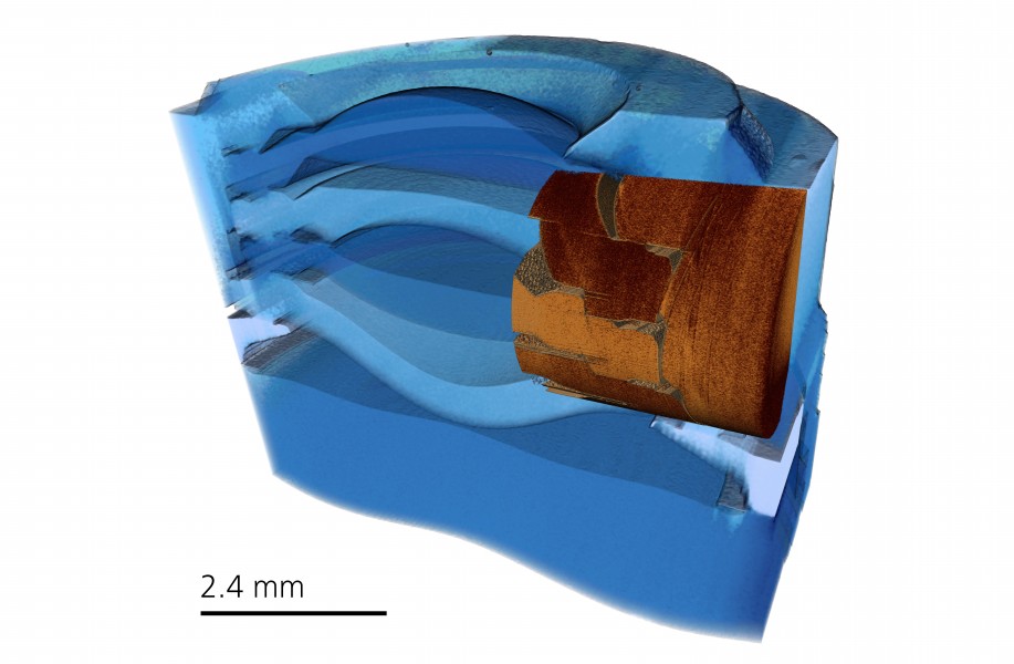 Mobile phone camera lens module, 3D X-ray microscopy (30033111412)
