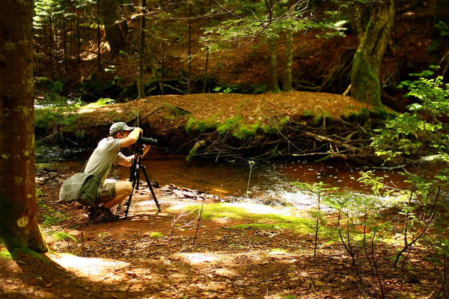 Nature photographer