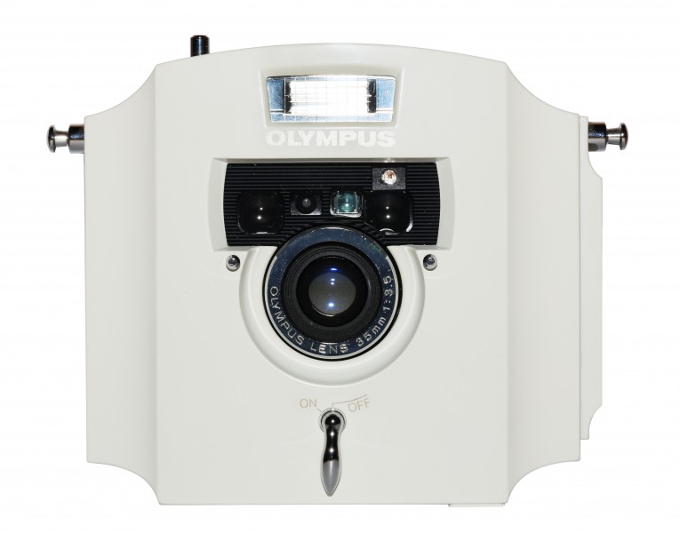 Olympus Ecru 01