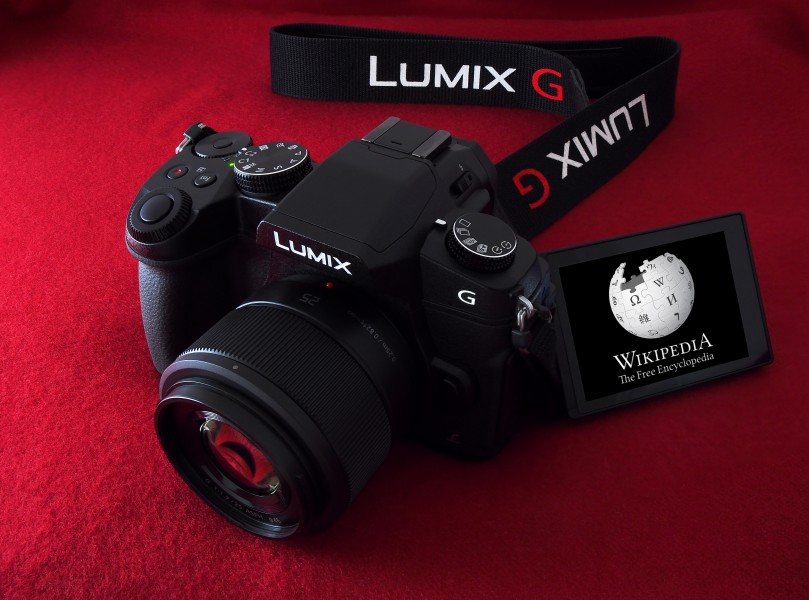 Panasonic G80