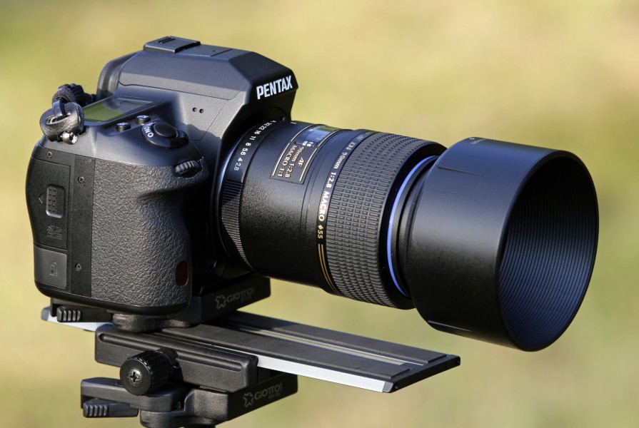 PentaxK7+TamronMacro90