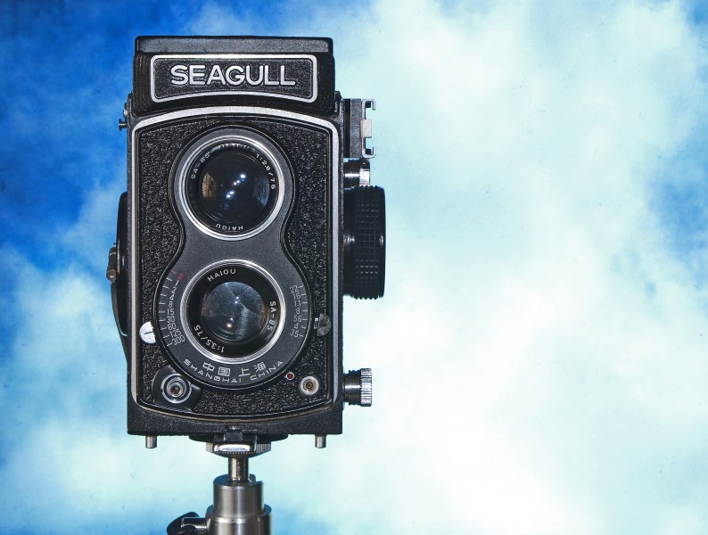Seagull Camera