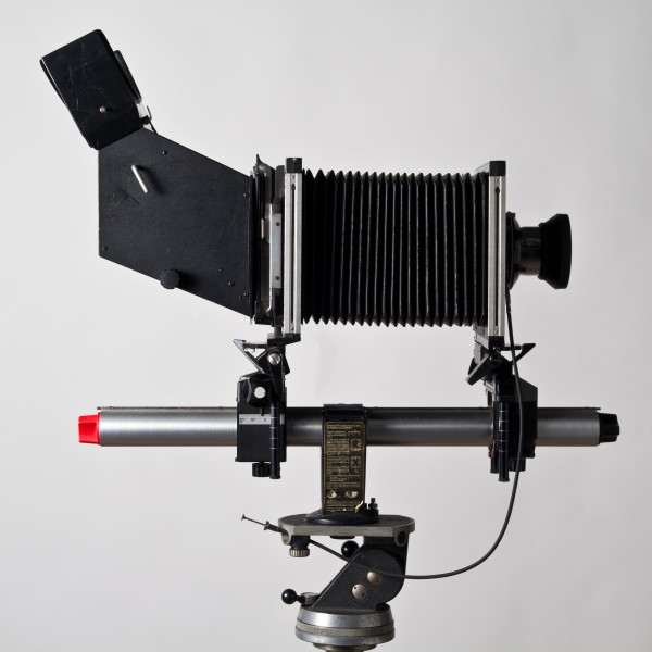 Sinar F (profil)
