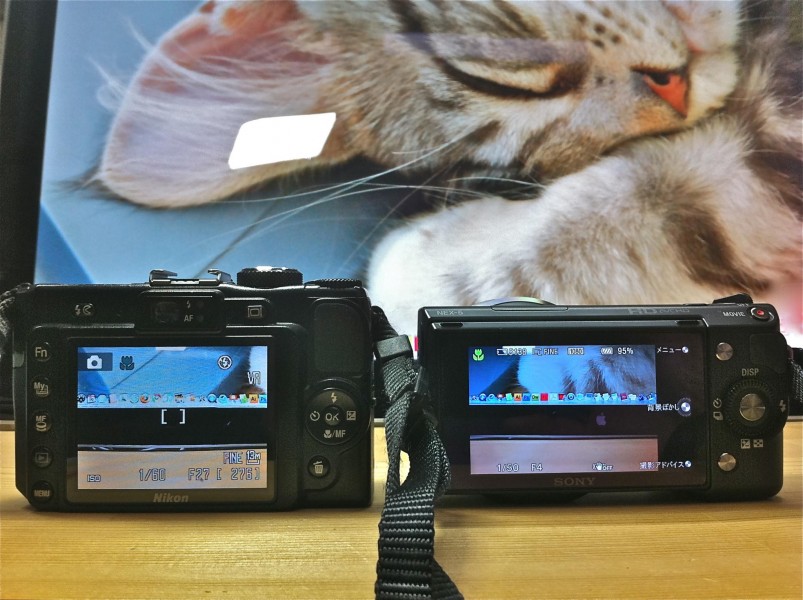 SONY α NEX-5 (4929613022)