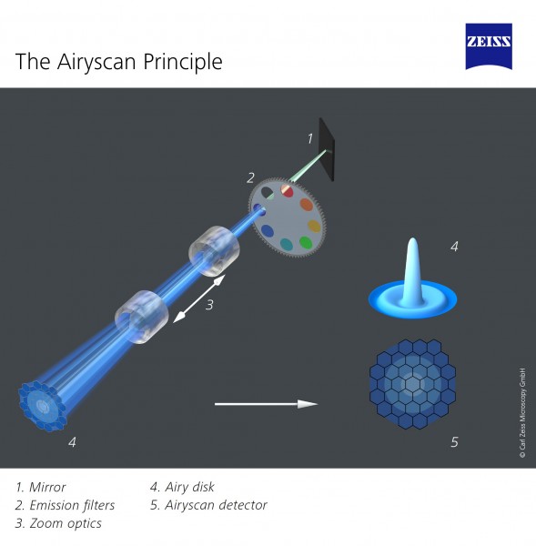 The Airyscan Principle (14657210018)