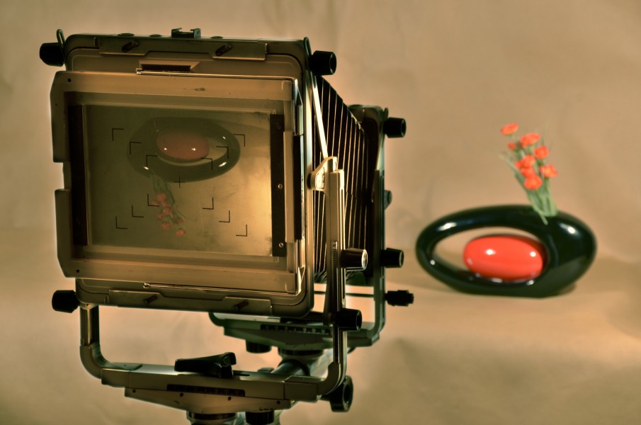 View Camera 001