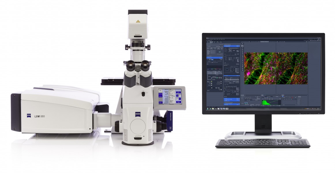 ZEISS LSM 880 with Airyscan (14853984263)