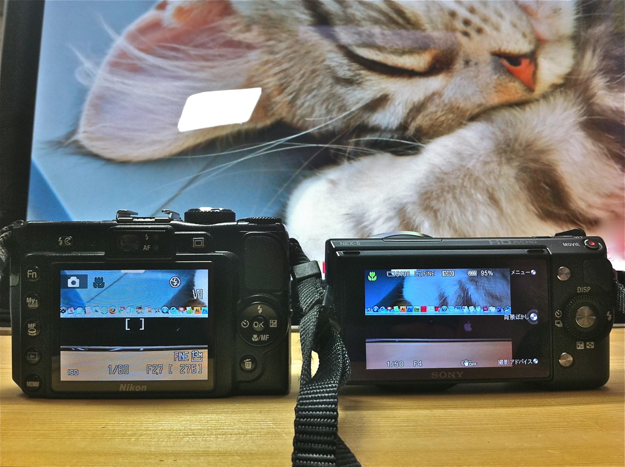 SONY α NEX-5 (4929613022)