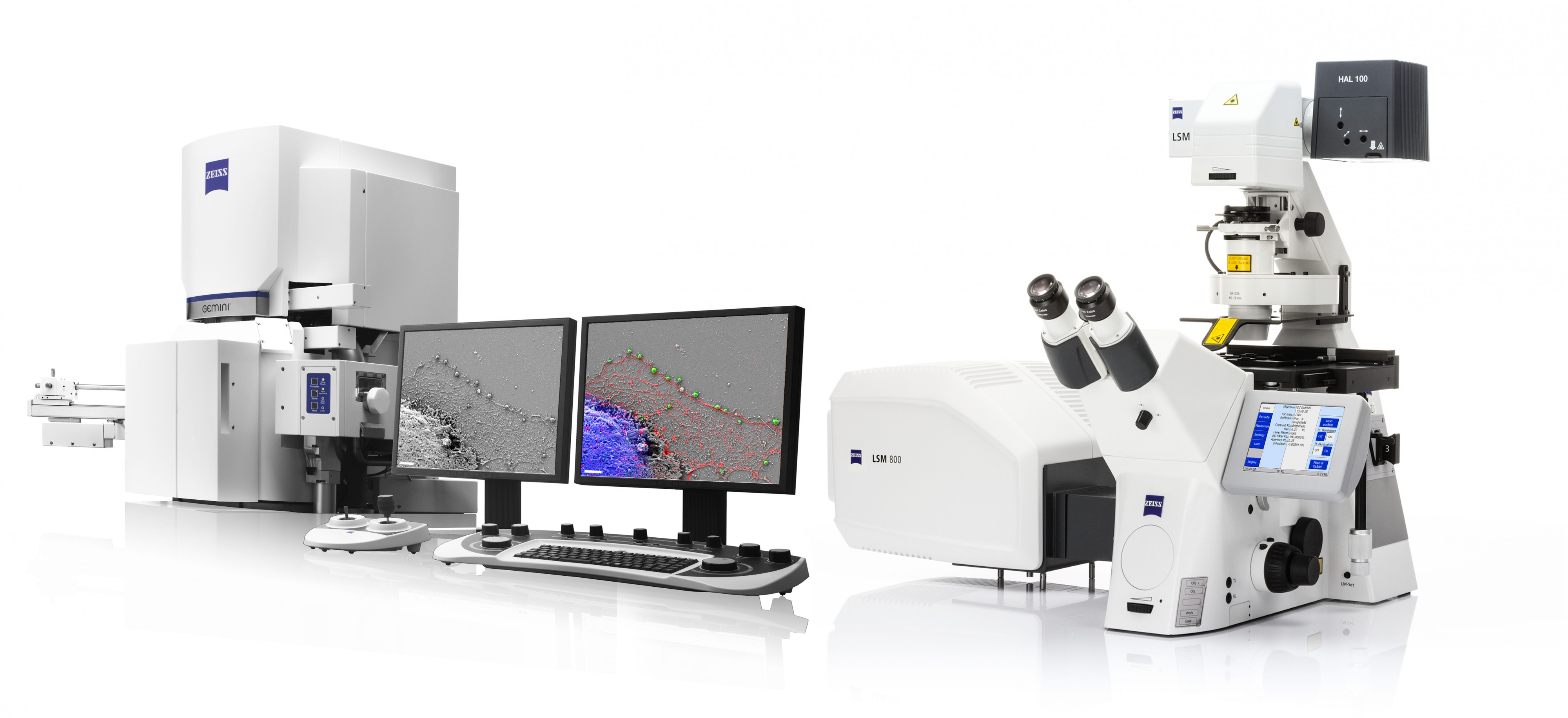 Correlative Microscopy with ZEISS Shuttle&Find - MERLIN and LSM 800 (16292616486)