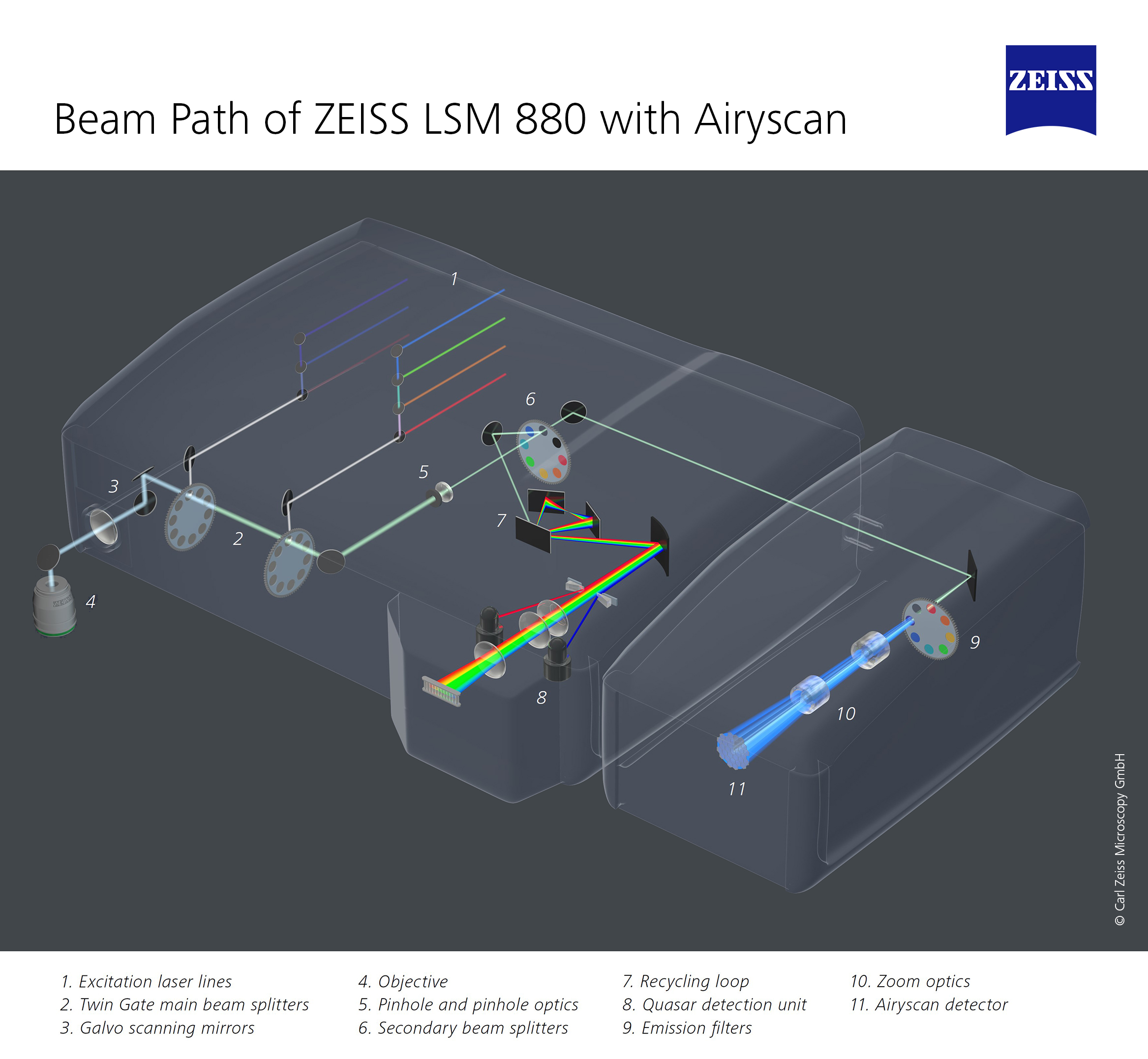 ZEISS LSM 880 with Airyscan (14657209838)
