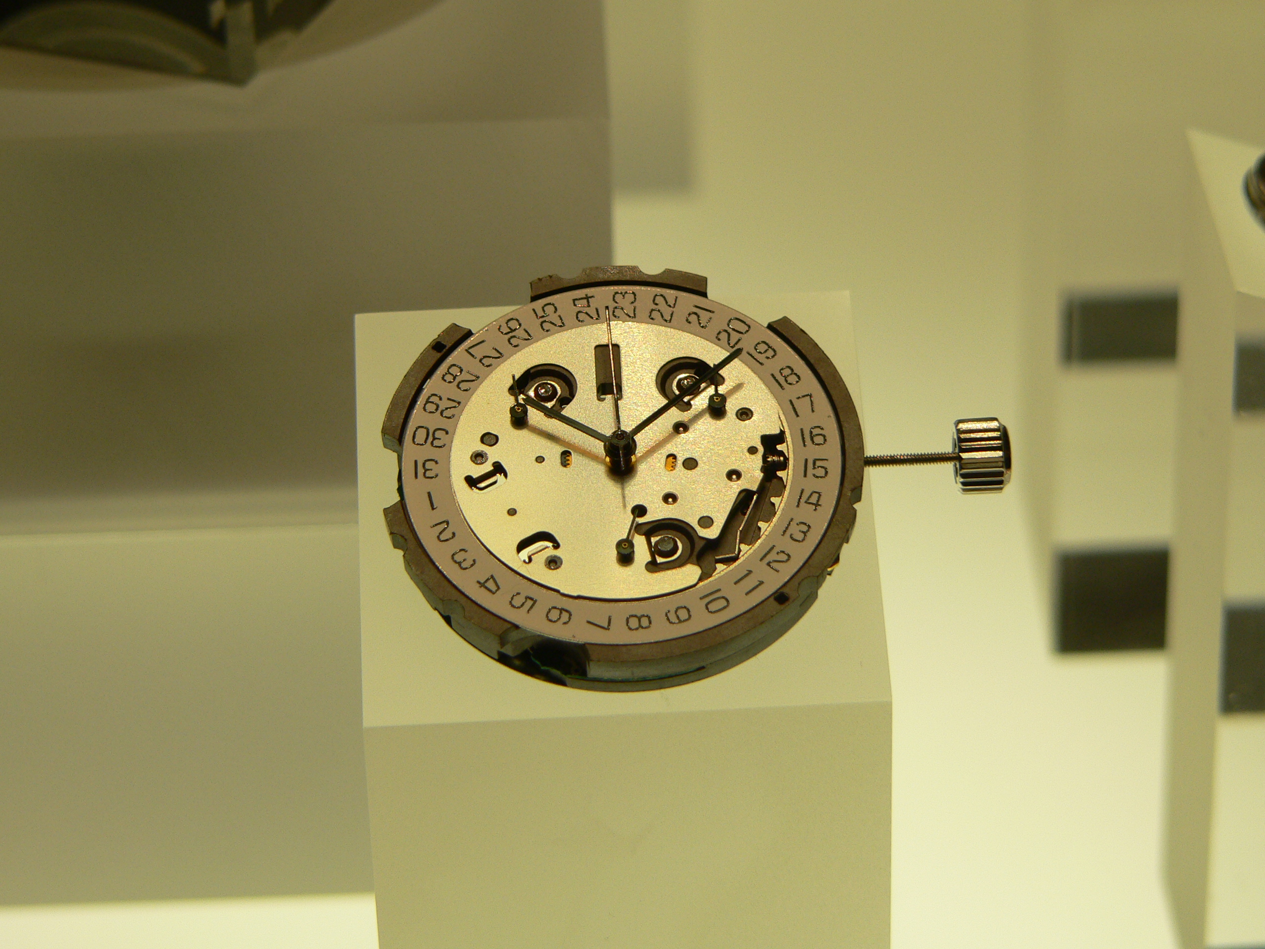 Montre-p1020686
