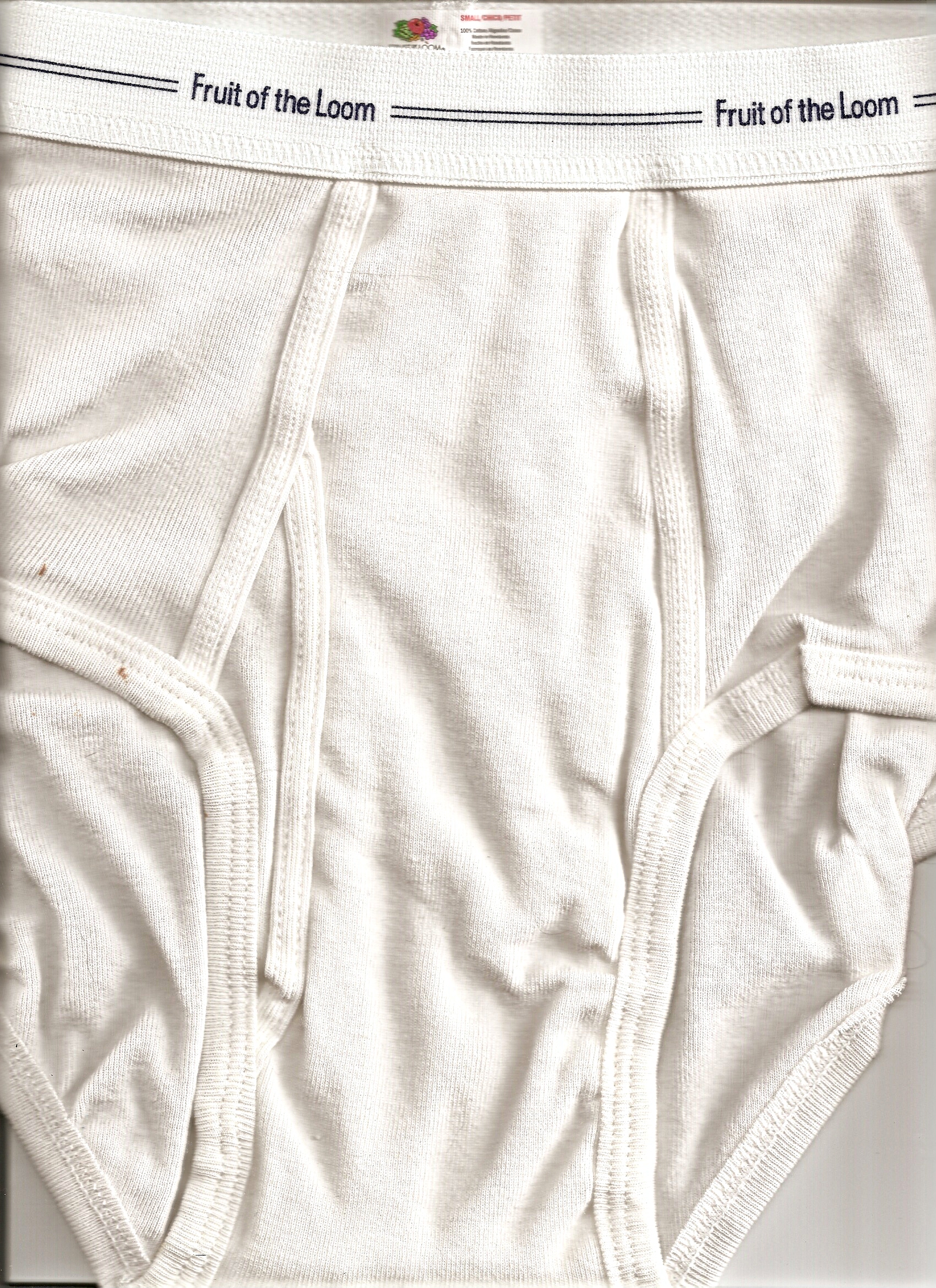 Briefs-FruitoftheLoom-20080226