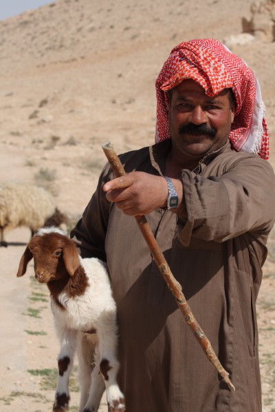 Syrian Bedouin Shepherd