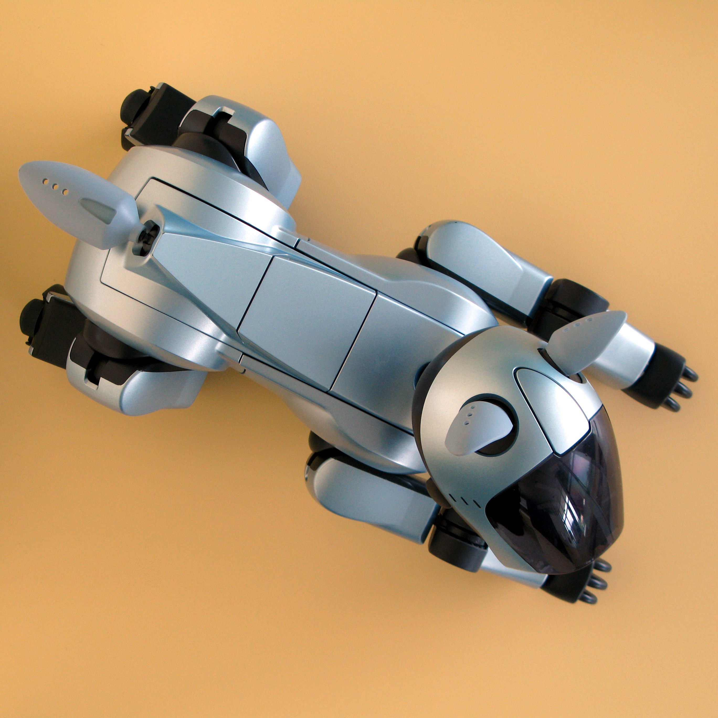 Aibo img 0812