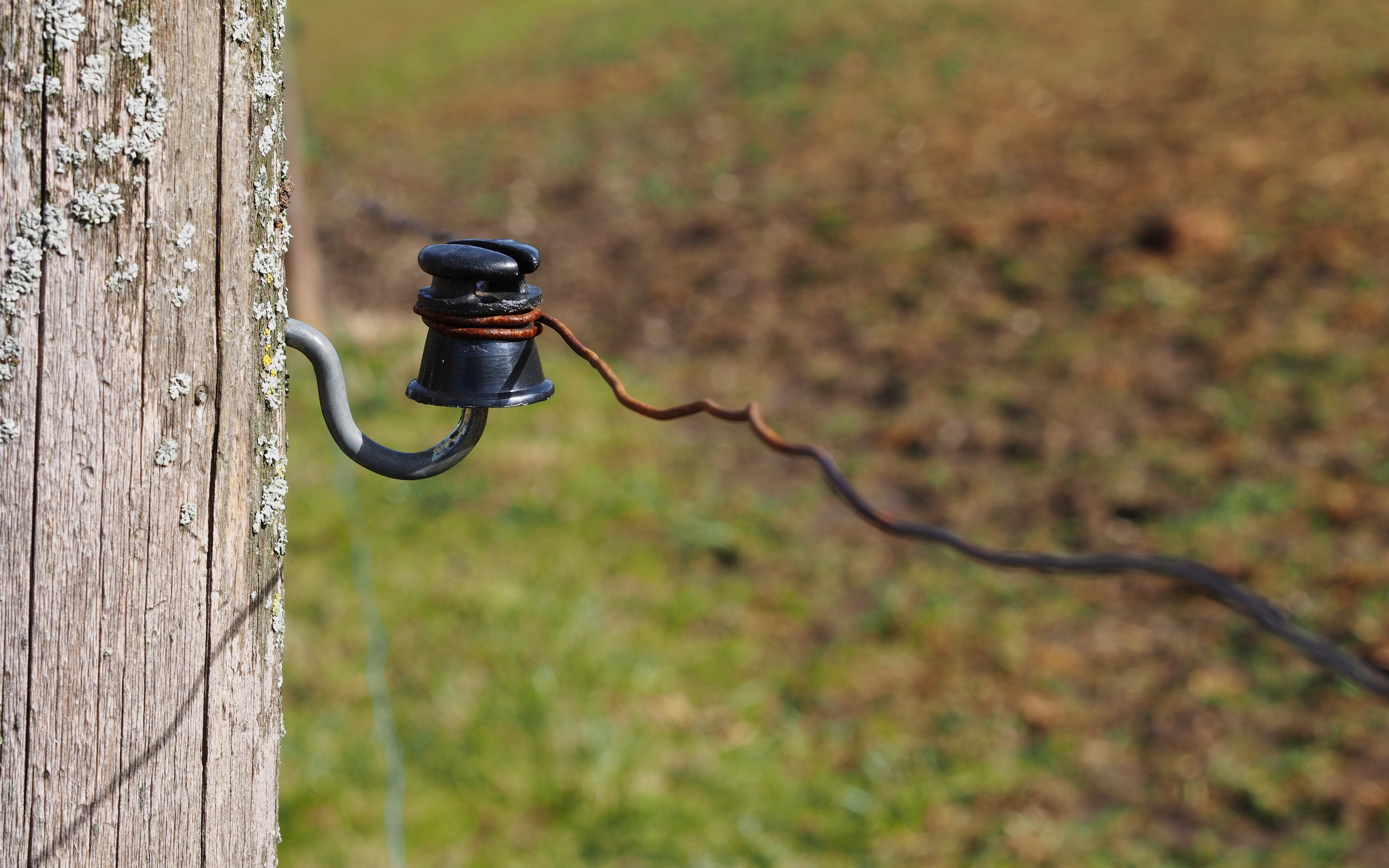 Black-insulator-electric-fence