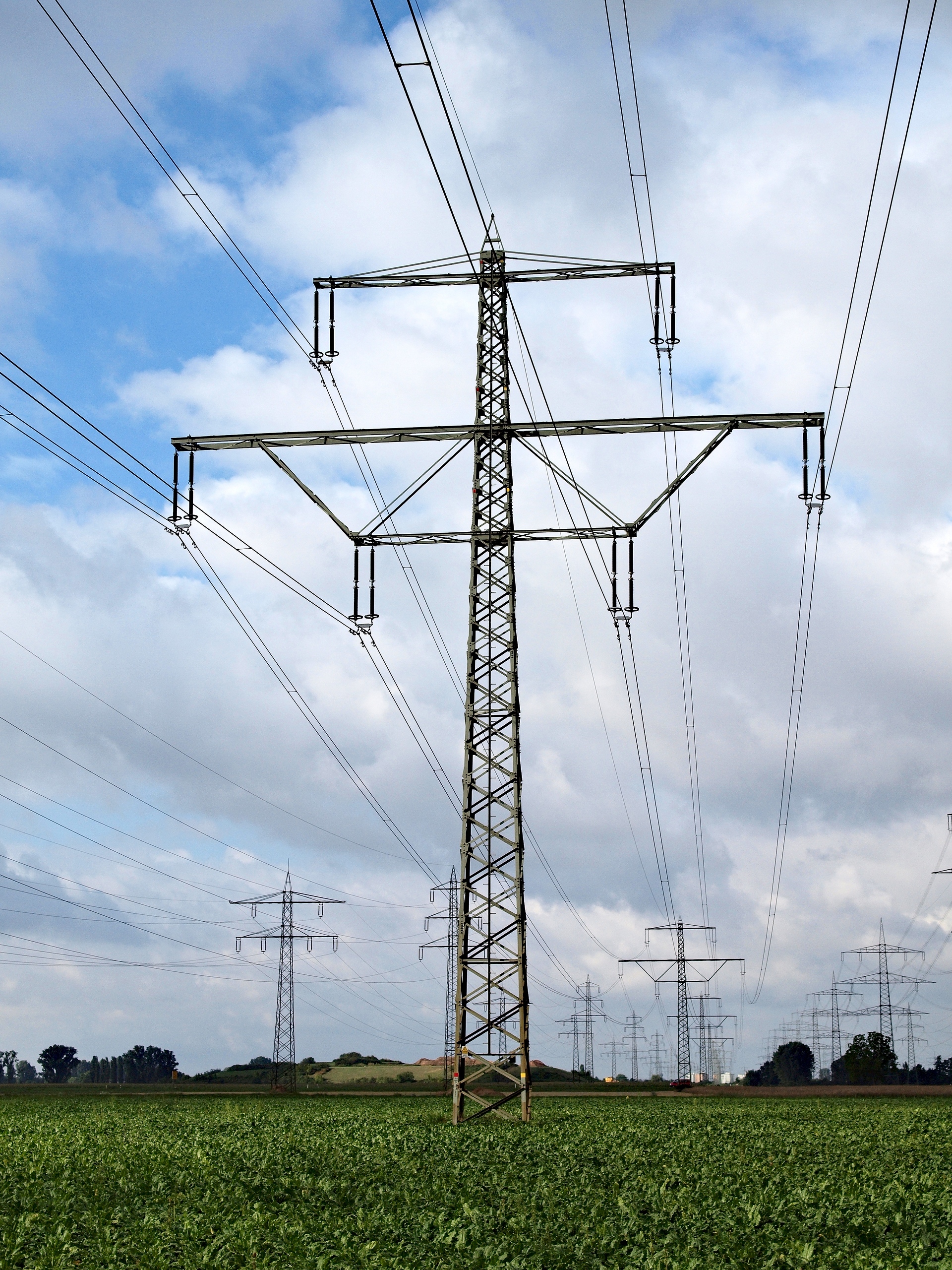 C1mast-2011
