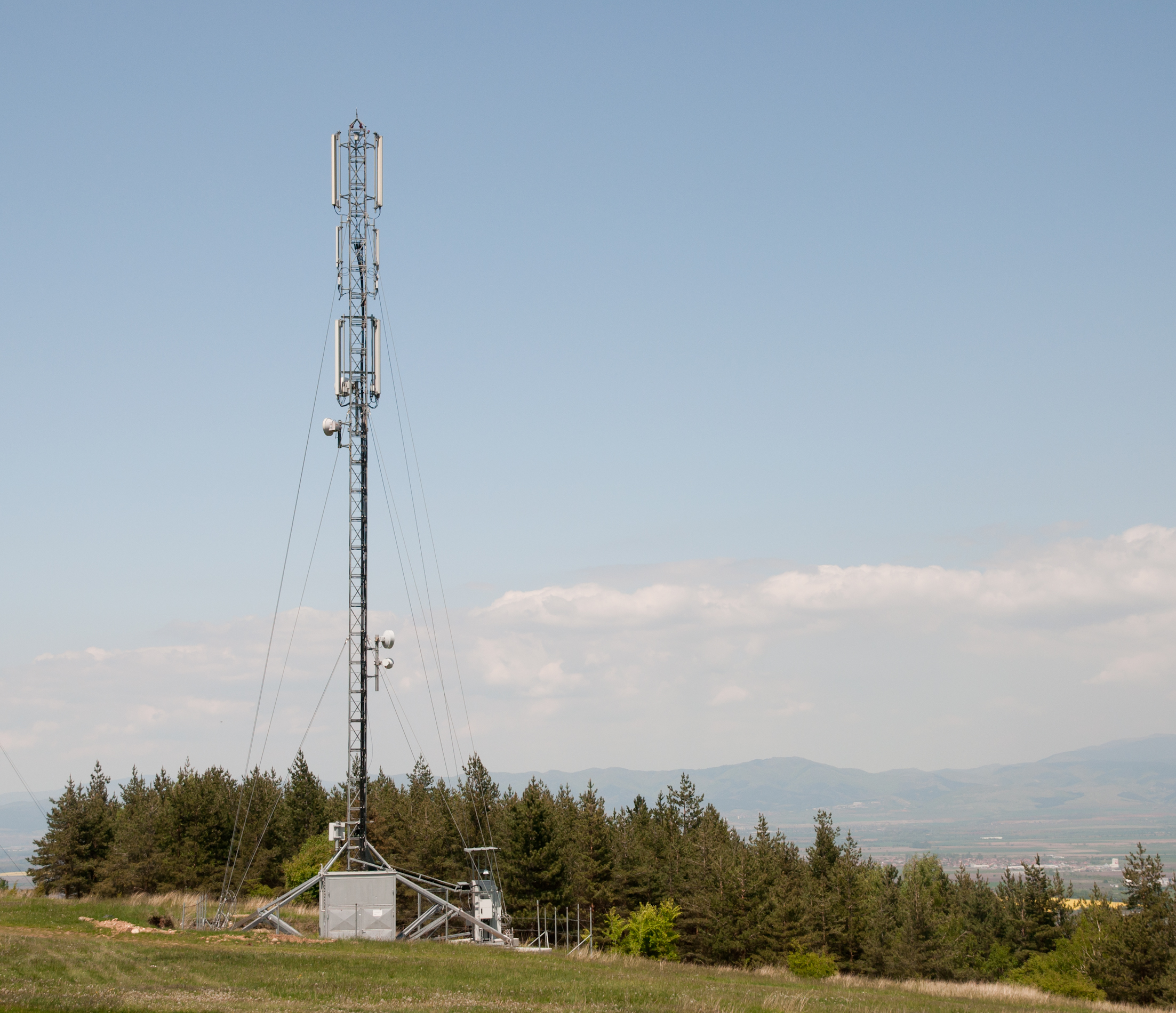 Cell phone tower Lozen