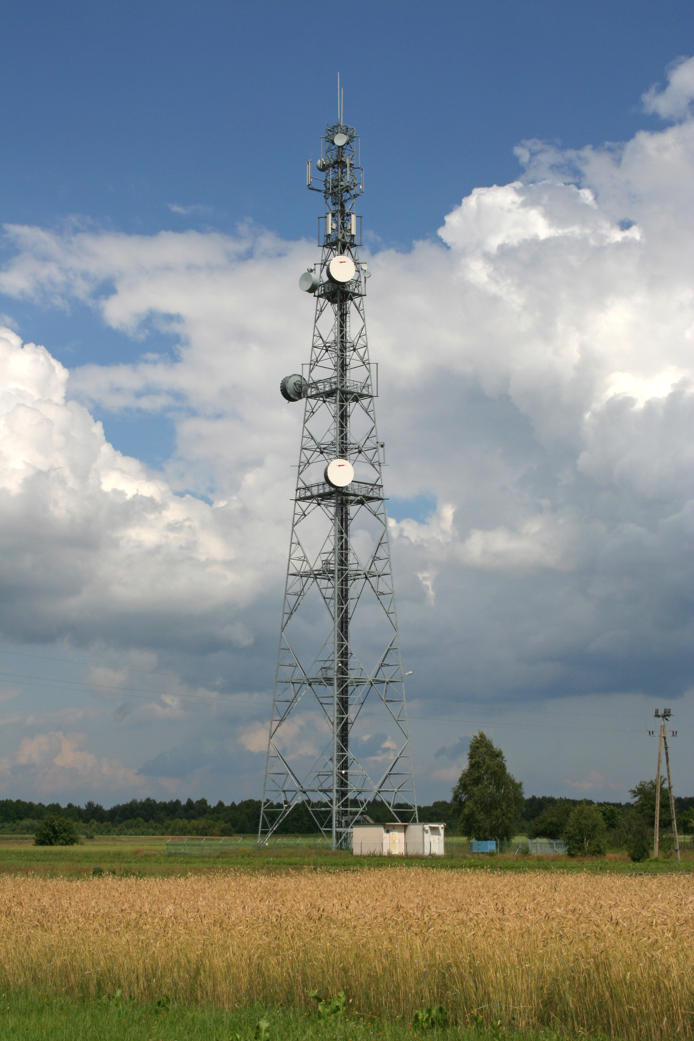 Miedwieżyki - Radio tower