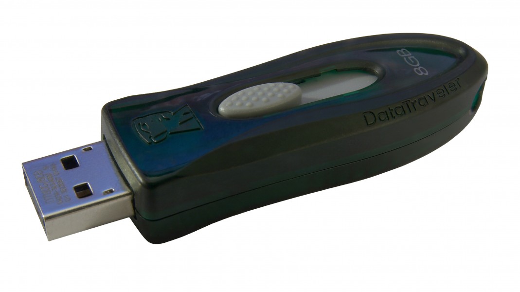 Kingston DataTraveler 110 8GB USB flash drive