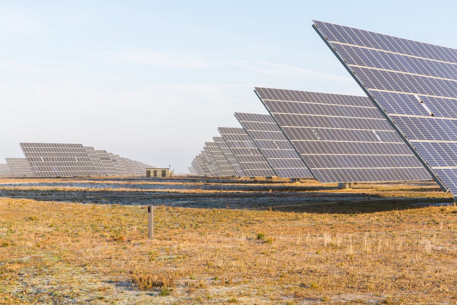 Paneles solares en Cariñena, España, 2015-01-08, DD 02