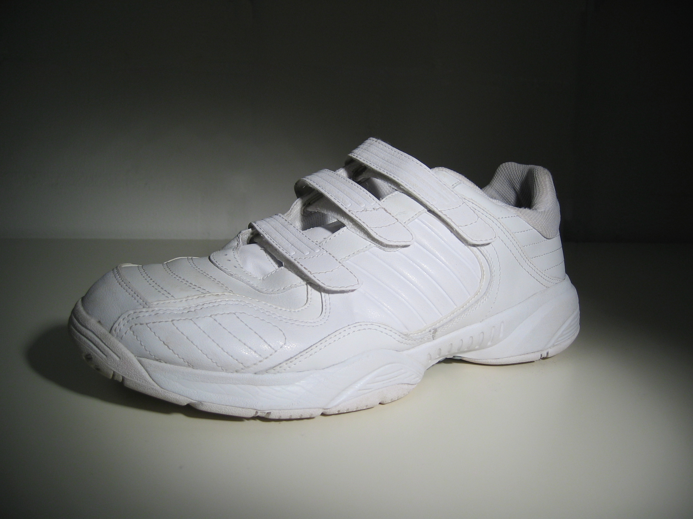 Sportschuh1