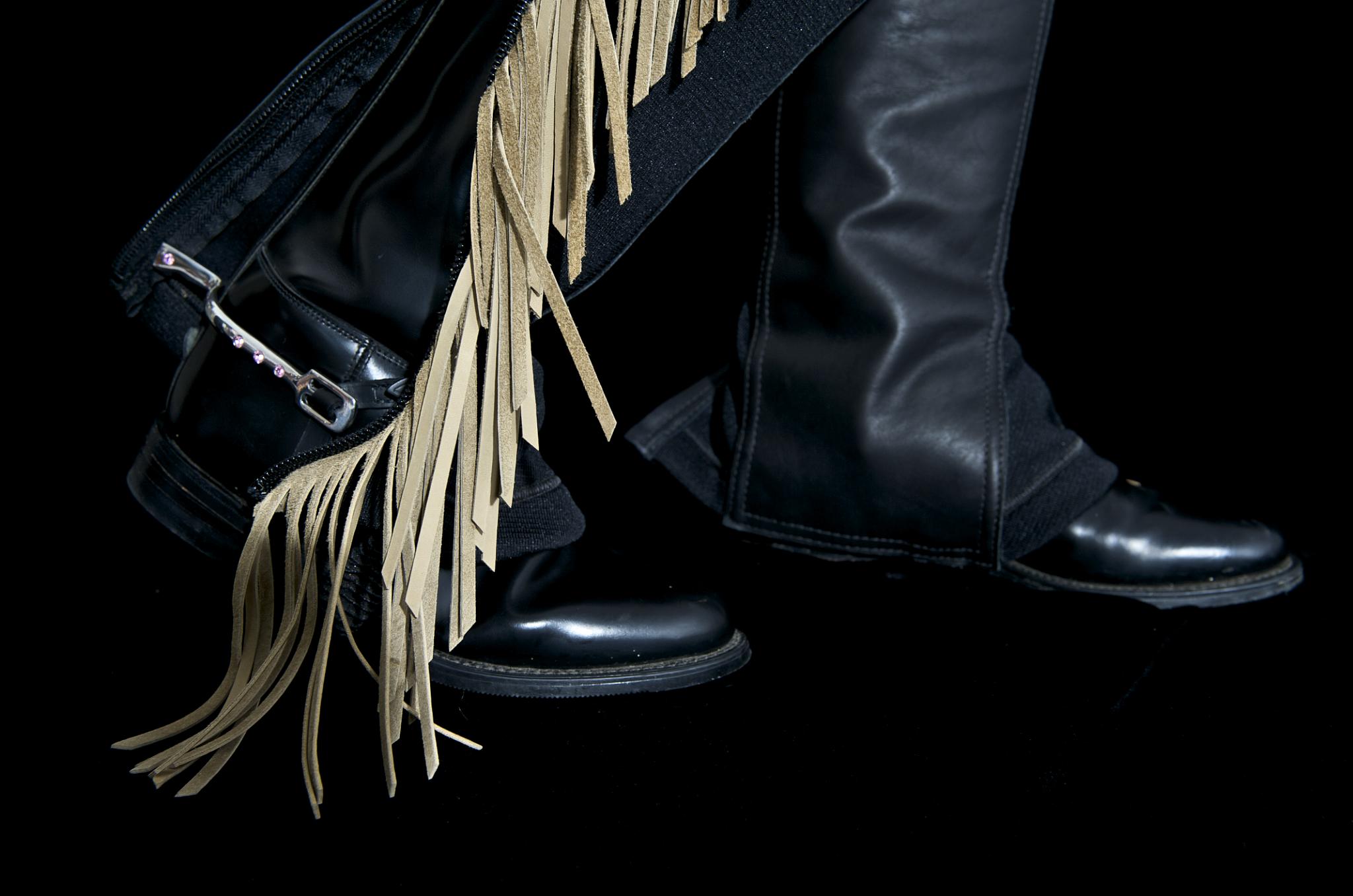 The Equestrian Session (2829348580)