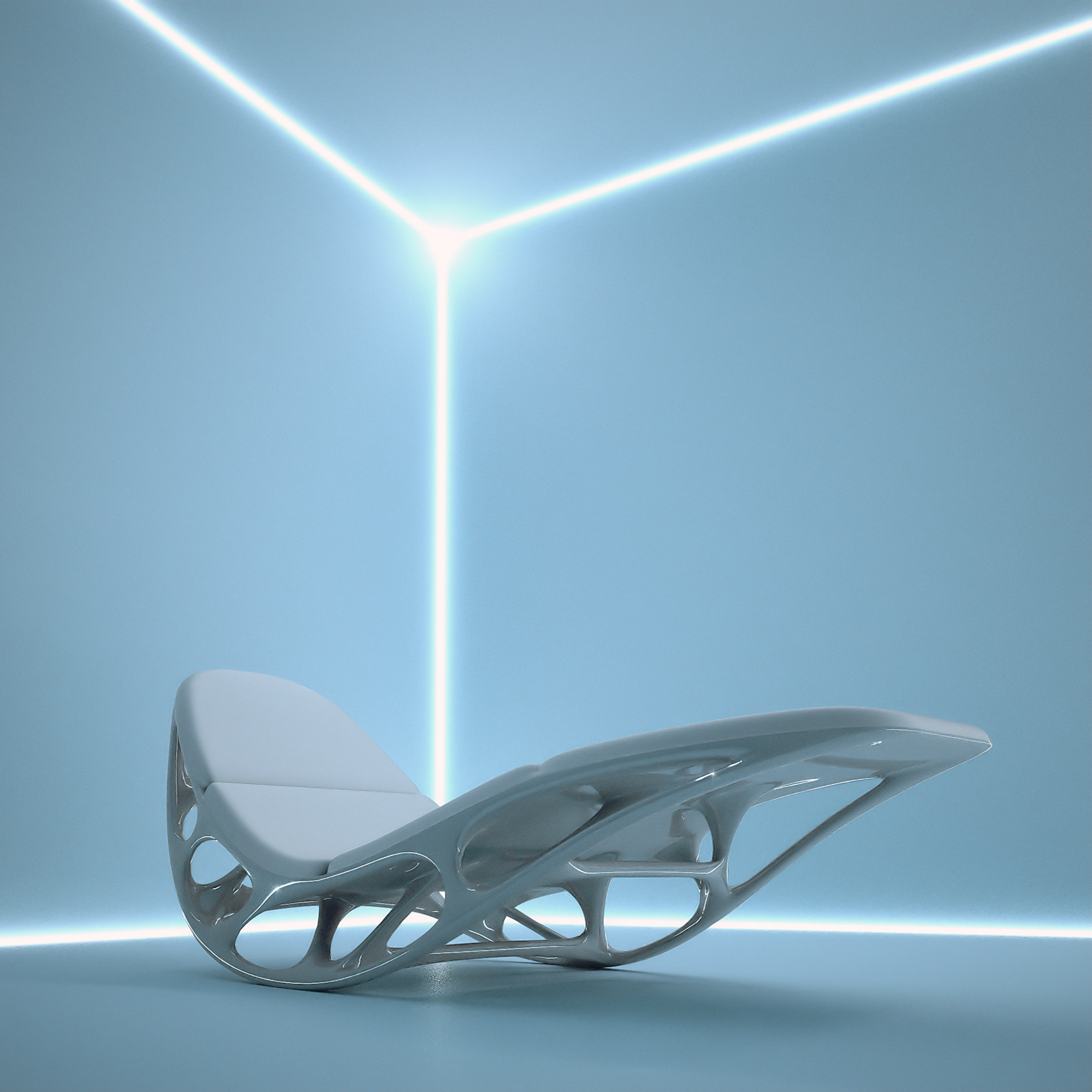 Morphogenesis chaise timothy schreiber