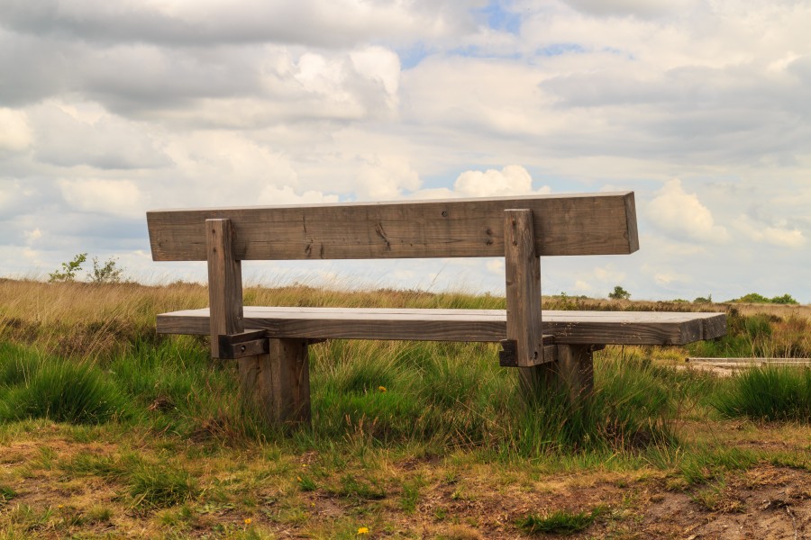 Balloërveld, natuurgebied in Drenthe 19