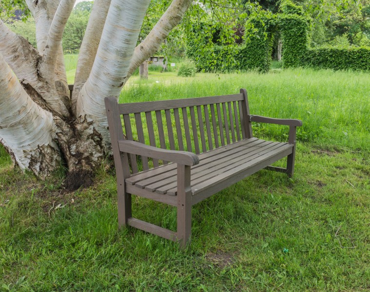 Bankje onder meerstammige berk (Betula). Locatie Hortus Haren 01
