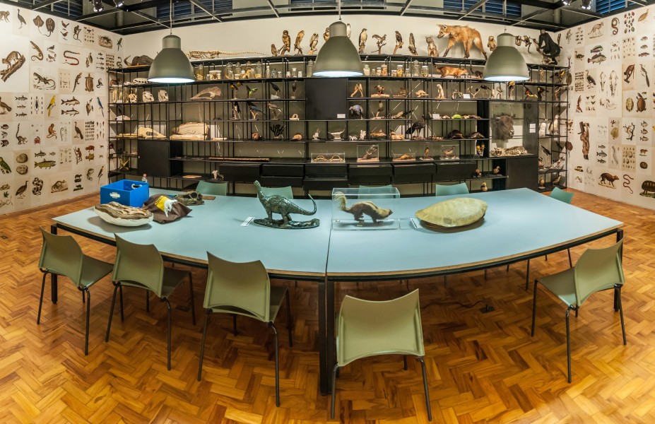 Museu de Zoologia da Universidade de São Paulo