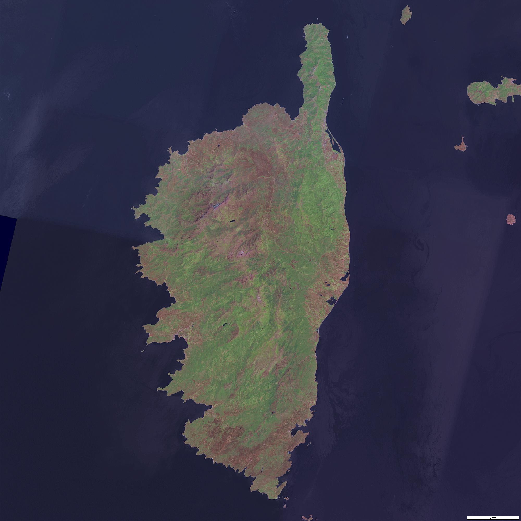 Corse sat