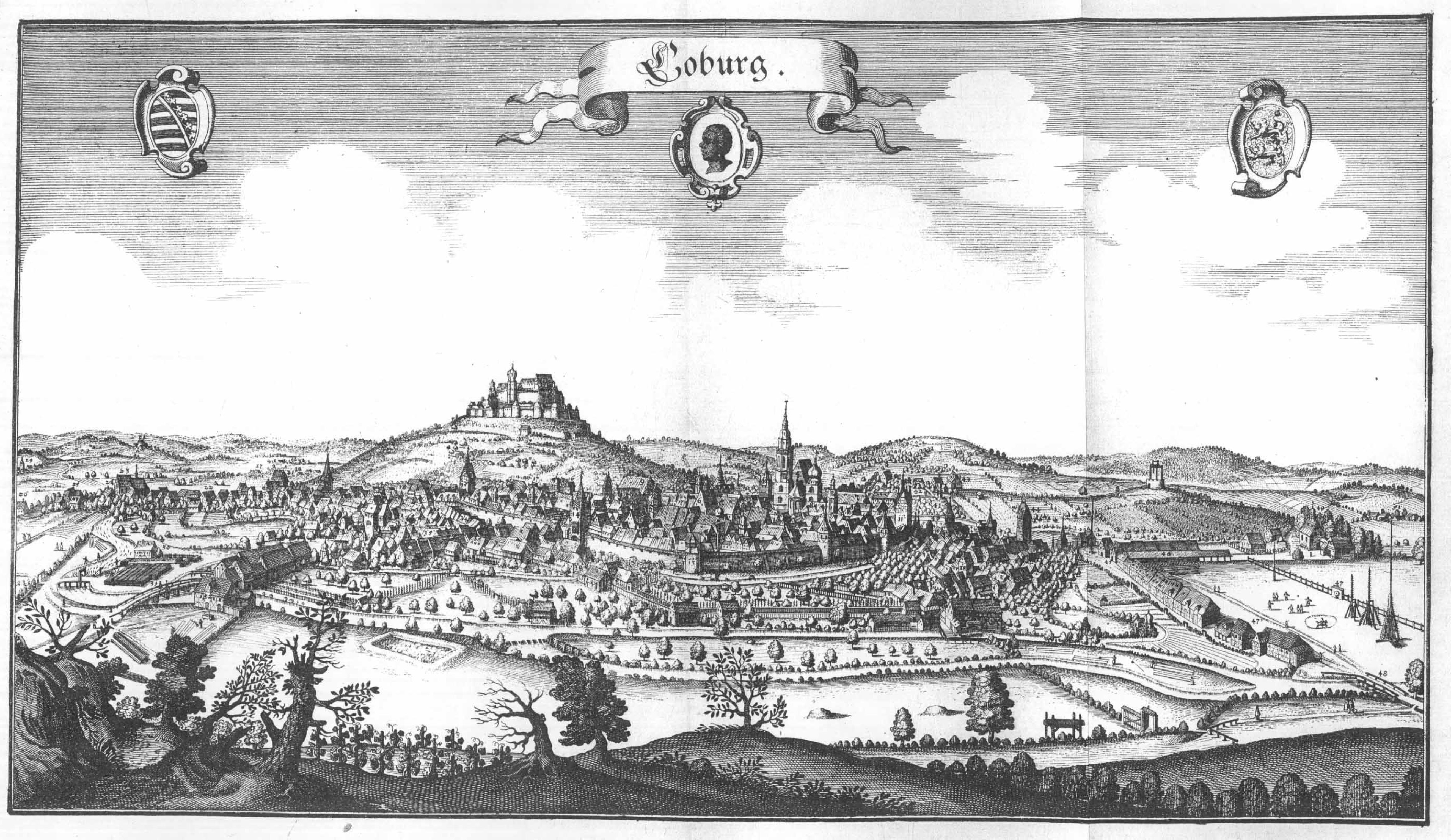 De Merian Frankoniae 044