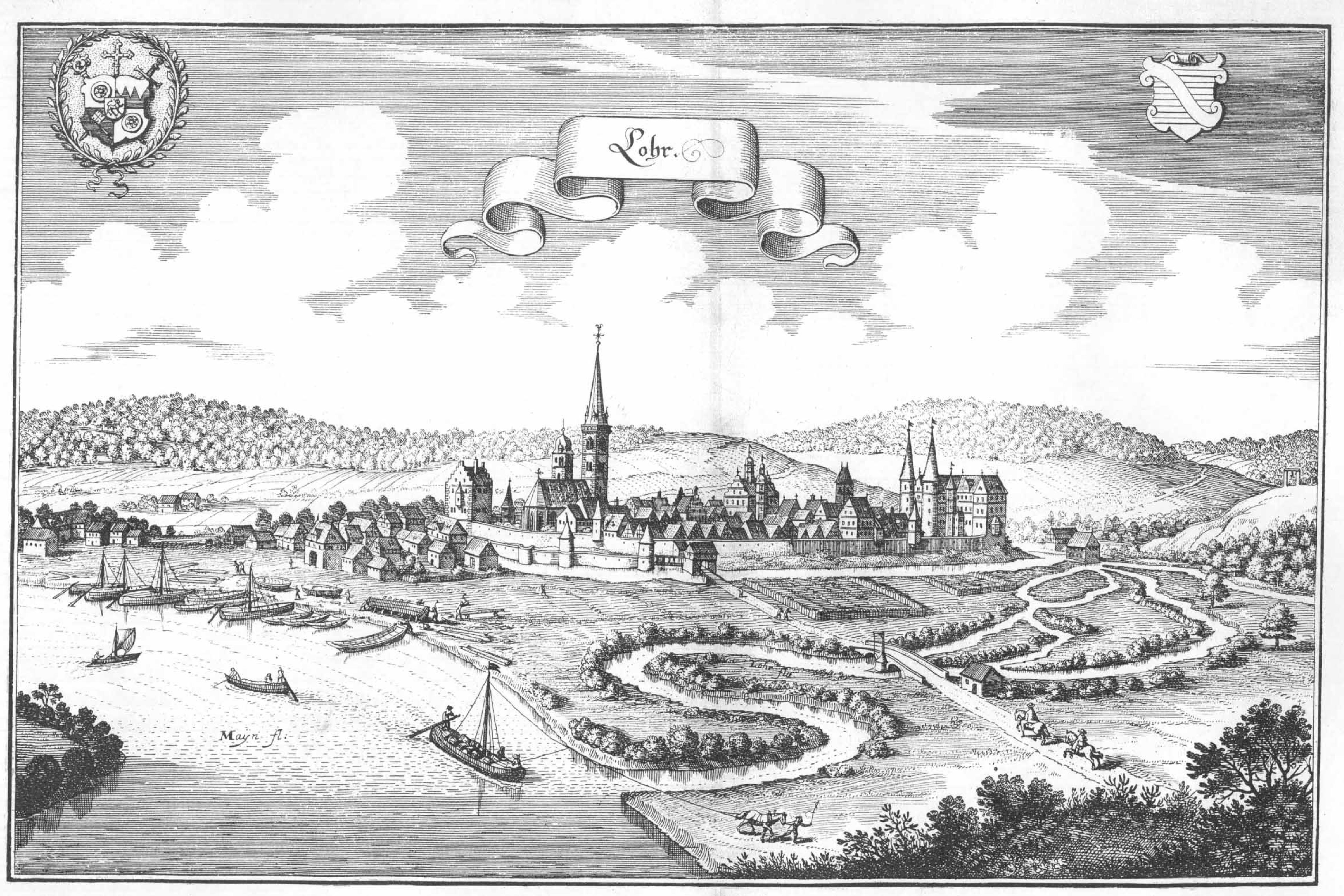 De Merian Frankoniae 077